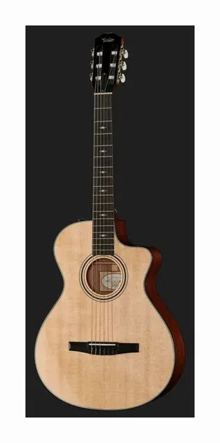 Taylor 312ce-N Nylon, buca e rosetta, scatto 2