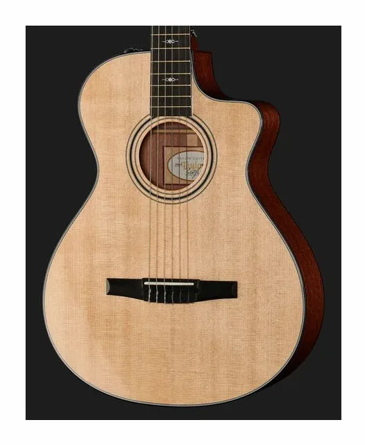 Taylor 312ce-N Nylon, cassa vista di fronte, scatto 4
