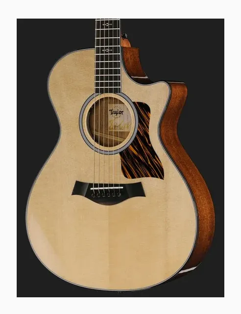 Taylor 312ce Next Generation, buca e rosetta, scatto 4