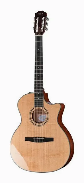 Taylor 314ce-N su sfondo neutro