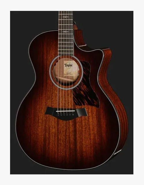 Taylor 324ce Next Generation, cassa vista di fronte, scatto 4