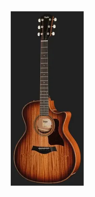 Taylor 324ce Studio Special Edition, buca e rosetta, scatto 2