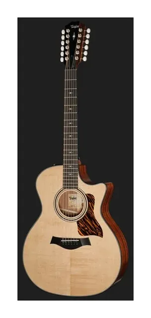 Taylor 354ce, tastiera e capotasto, scatto 2