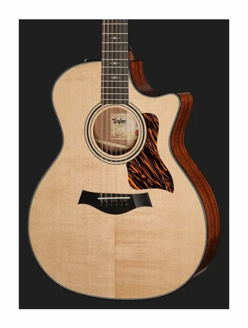 Taylor 354ce, cassa vista di fronte, scatto 4