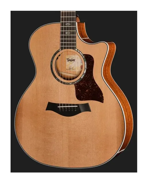 Taylor 514ce Next Generation, buca e rosetta, scatto 4