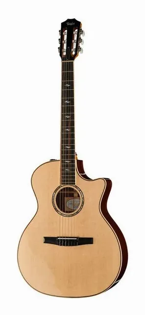 Taylor 814ce-N su sfondo neutro