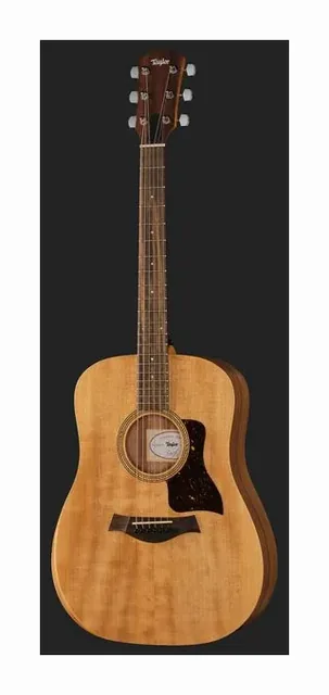 Taylor Academy 10e Walnut/Eucalyptus, fondo e fasce, scatto 2