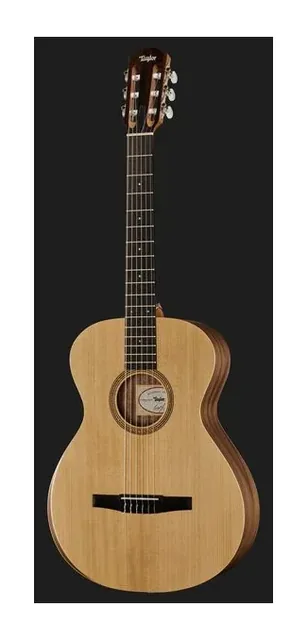 Taylor Academy Series 12e-N, tastiera e capotasto, scatto 2