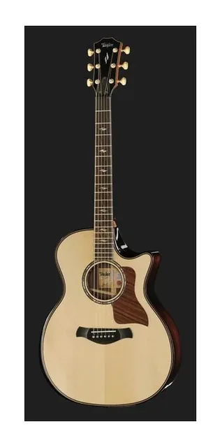 Taylor BE 814ce Next Generation, paletta e meccaniche, scatto 2