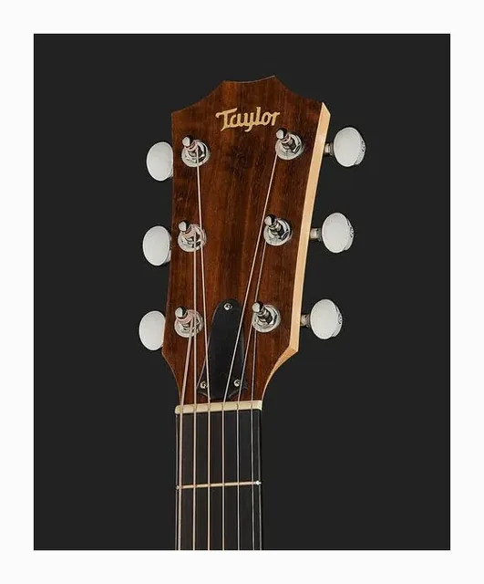 Taylor Big Baby Taylor BBTe, buca e rosetta, scatto 4