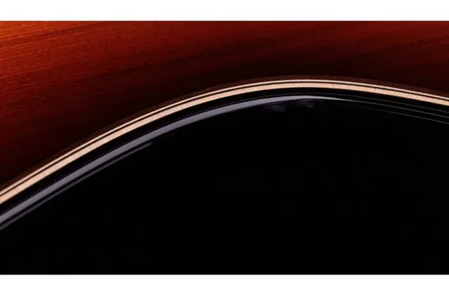 Taylor Builder’s Ed. 814ce Sinker, buca e rosetta, scatto 3