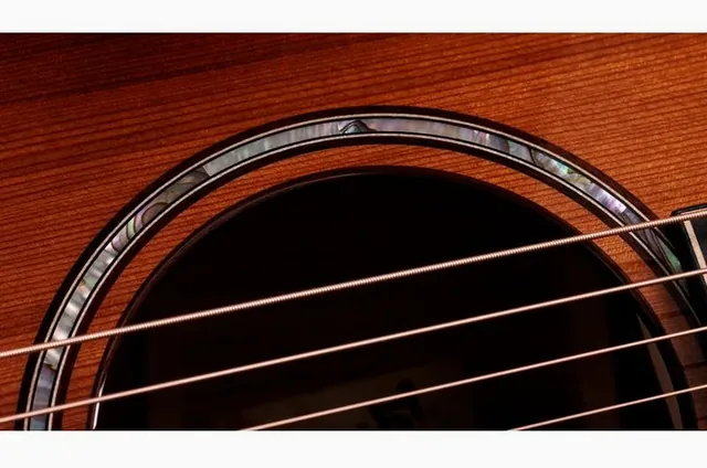 Taylor Builder’s Ed. 814ce Sinker, cassa vista di fronte, scatto 4