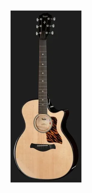 Taylor Builders Edition 514ce Next Ge, tastiera e capotasto, scatto 2