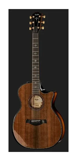 Taylor Builde`s Edition 914ce, ponte e selletta, scatto 2