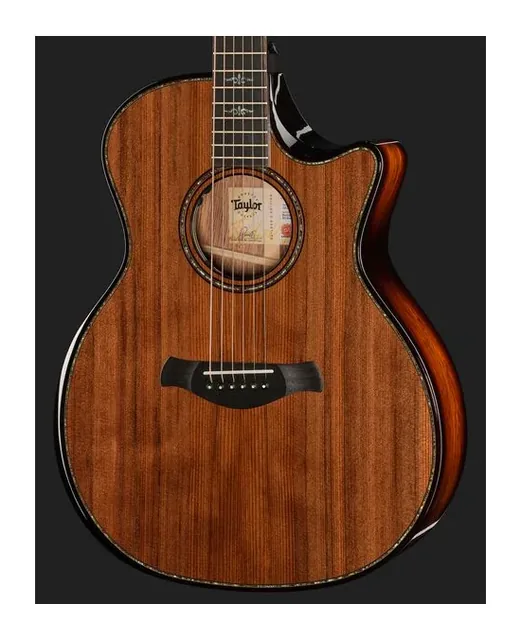 Taylor Builders Edition 914ce RW/RD N, paletta e meccaniche, scatto 4