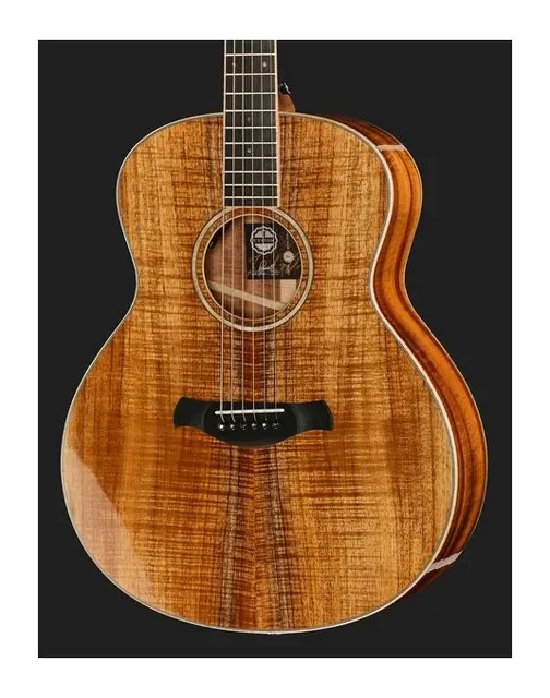 Taylor C24ce C0786 Custom, ponte e selletta, scatto 4