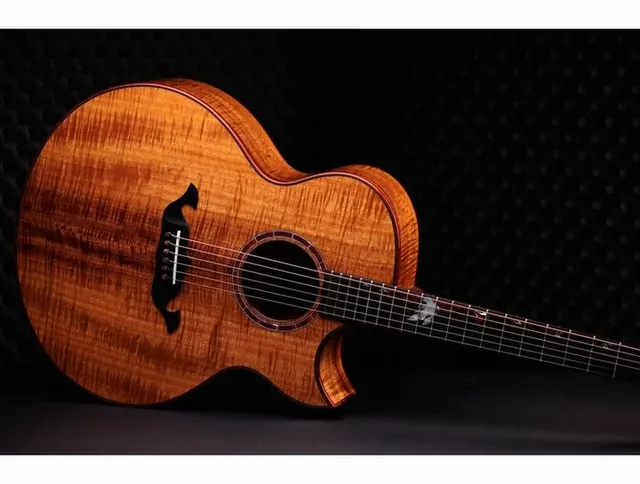 Taylor C25ce B6005 Custom #5, buca e rosetta, scatto 2
