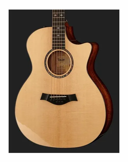 Taylor Custom GA-9, fondo e fasce, scatto 4