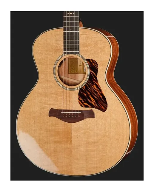 Taylor Gold Label 514e, fondo e fasce, scatto 4