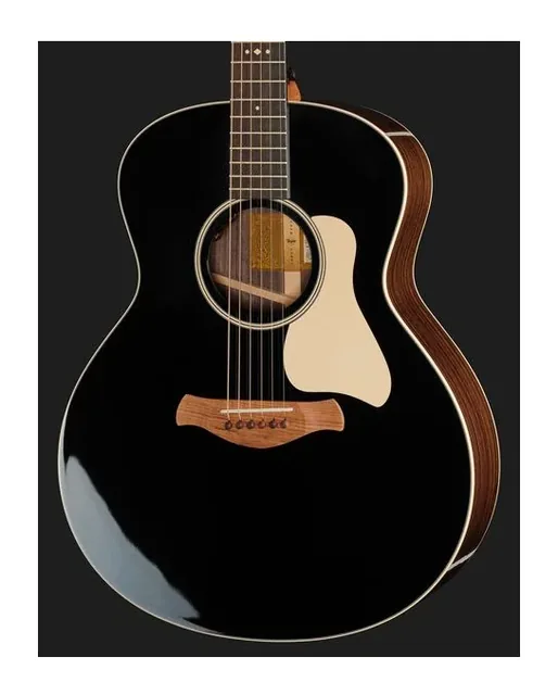 Taylor Gold Label 714e Blacktop, cassa vista di fronte, scatto 4