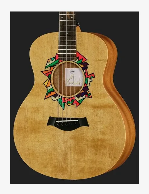 Taylor Jacob Collier GS Mini, ponte e selletta, scatto 4