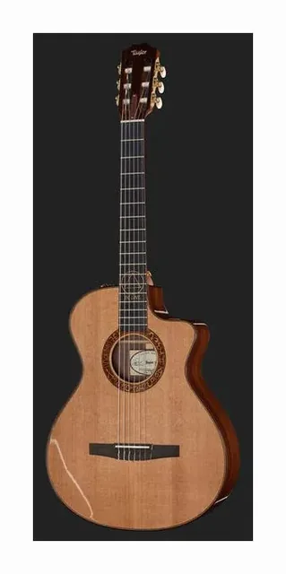 Taylor Jason Mraz Signature, fondo e fasce, scatto 2