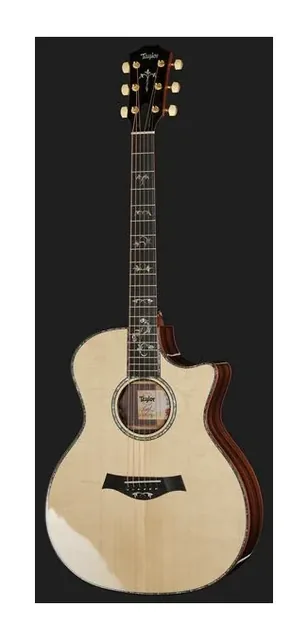 Taylor Legacy 914ce, tastiera e capotasto, scatto 2