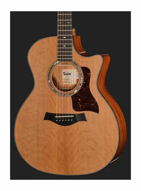 Taylor Legacy Edition 514ce, paletta e meccaniche, scatto 4