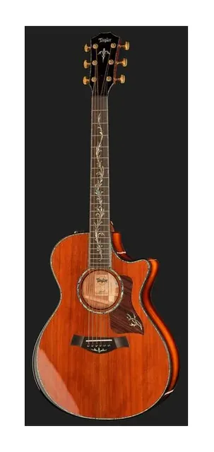 Taylor PS12ce Honduran Rosewood, buca e rosetta, scatto 2