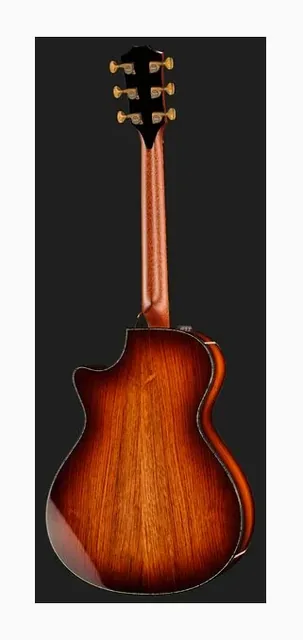 Taylor PS12ce Honduran Rosewood, buca e rosetta, scatto 3