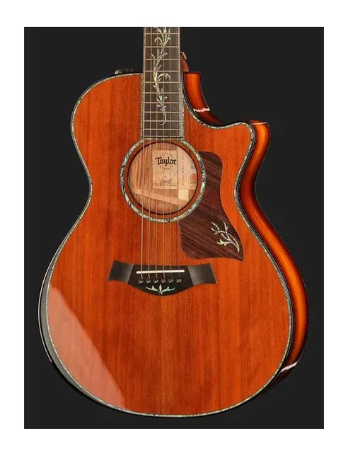 Taylor PS12ce Honduran Rosewood, ponte e selletta, scatto 4