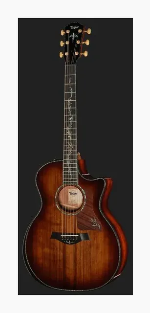 Taylor PS14ce Figured Urban Ironback, buca e rosetta, scatto 2