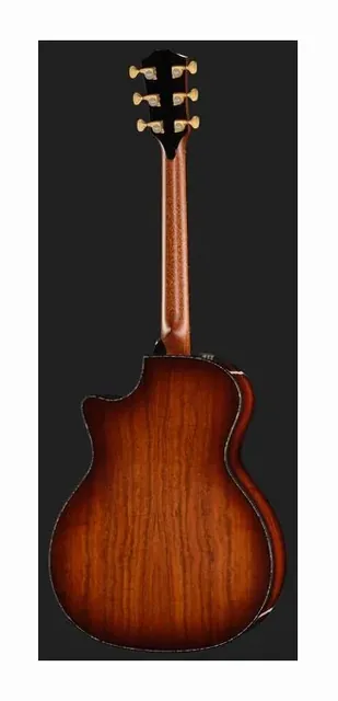 Taylor PS14ce Figured Urban Ironback, ponte e selletta, scatto 3