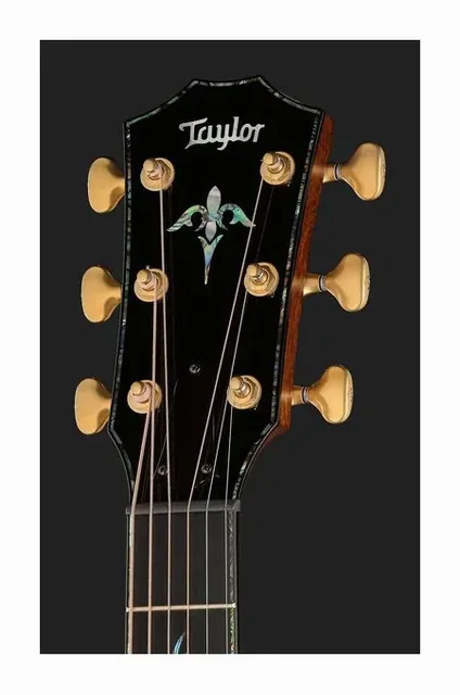 Taylor PS14ce Figured Urban Ironback, tastiera e capotasto, scatto 4