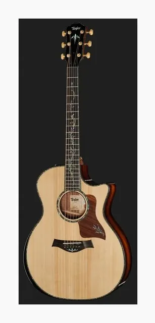 Taylor PS14ce HRW/Adirondack, paletta e meccaniche, scatto 2