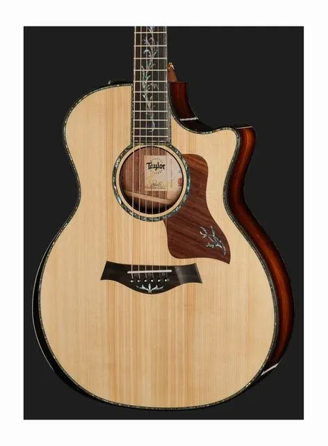 Taylor PS14ce HRW/Adirondack, buca e rosetta, scatto 4