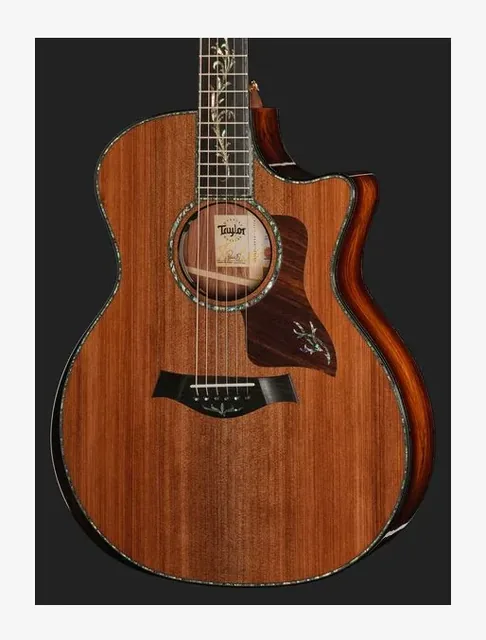 Taylor PS14ce HRW/Sinker Redwood NG, buca e rosetta, scatto 4