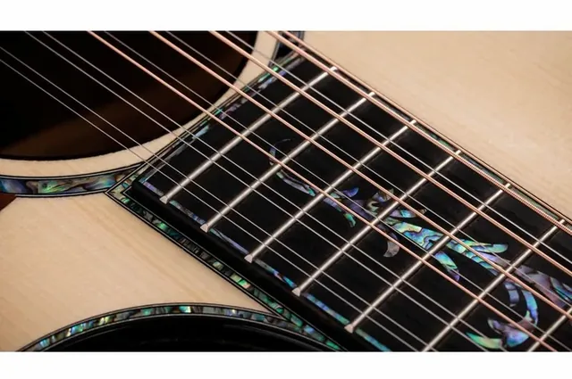 Taylor PS54ce, fondo e fasce, scatto 4