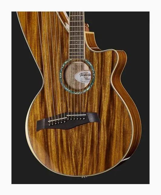 Timberline Guitars T60HGc-e Harp Guitar, fondo e fasce, scatto 4