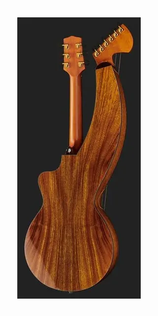 Timberline Guitars T70HGpc-e Harp Guitar, cassa vista di fronte, scatto 3