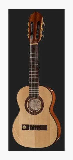 Gewa Pro Arte GC-25 A, ponte e cordiera, scatto 2