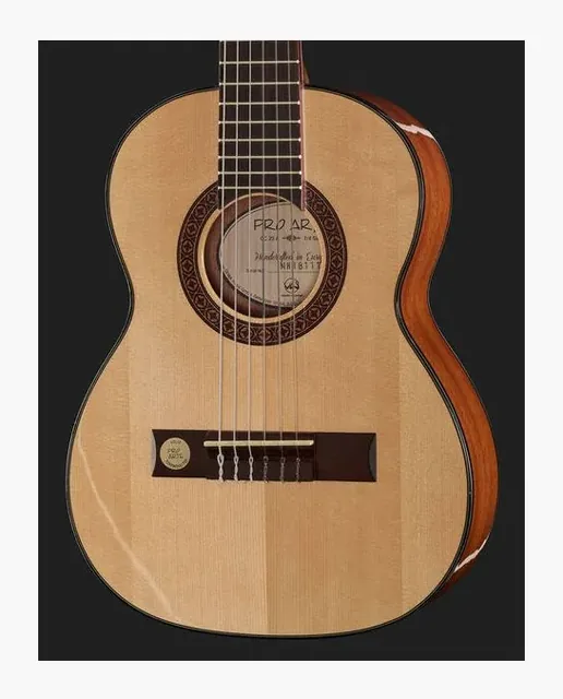 Gewa Pro Arte GC-25 A, tastiera e capotasto, scatto 4