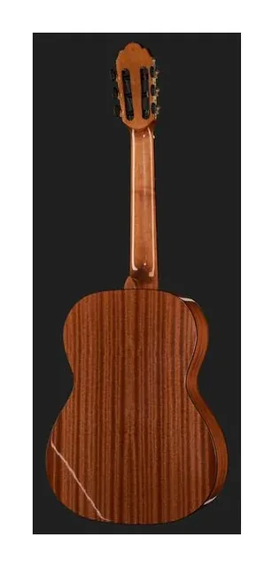 Gewa Pro Arte GC100A, cassa vista di fronte, scatto 3