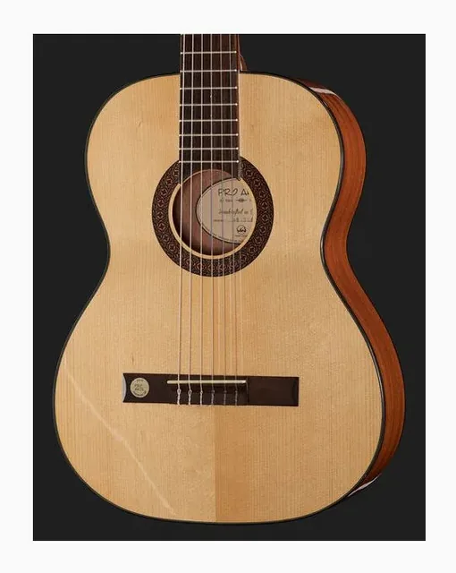 Gewa Pro Arte GC100A, cassa vista di fronte, scatto 4