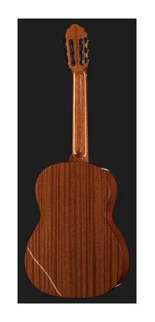 Gewa Pro Arte GC210A, cassa vista di fronte, scatto 3