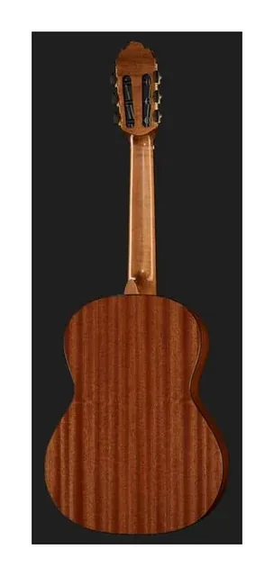 Gewa Pro Arte GC75A, buca e rosetta, scatto 3