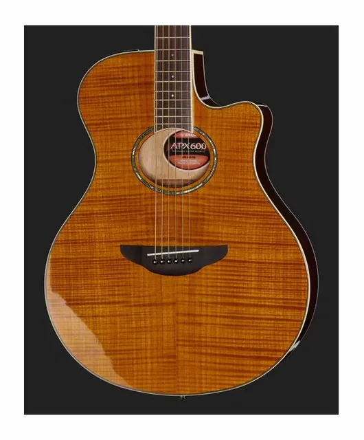 Yamaha APX 600 FM Amber, tastiera e capotasto, scatto 4