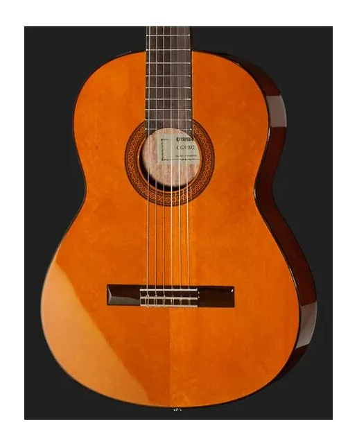 Yamaha CGX 102, fondo e fasce, scatto 4