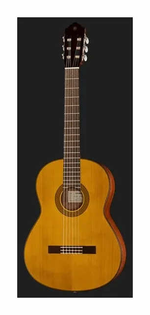Yamaha CGX 122 MS, tastiera e capotasto, scatto 2
