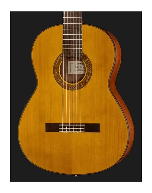 Yamaha CGX 122 MS, buca e rosetta, scatto 4